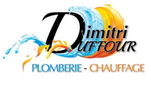 logo duffour dimitri